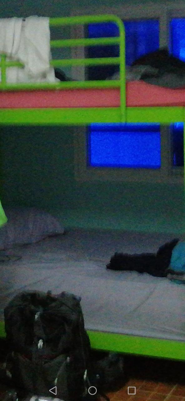 Neverland Dorm Phi Phi Adaları Dış mekan fotoğraf
